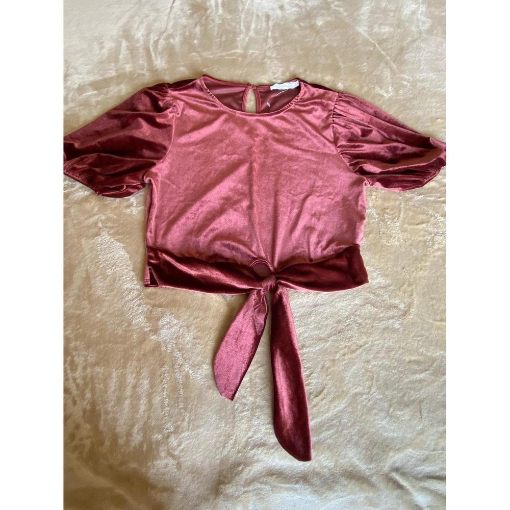Lush Shirt Blouse Top Velour Velvet Puff Sleeve Tie Waist XL Whimsigoth s50